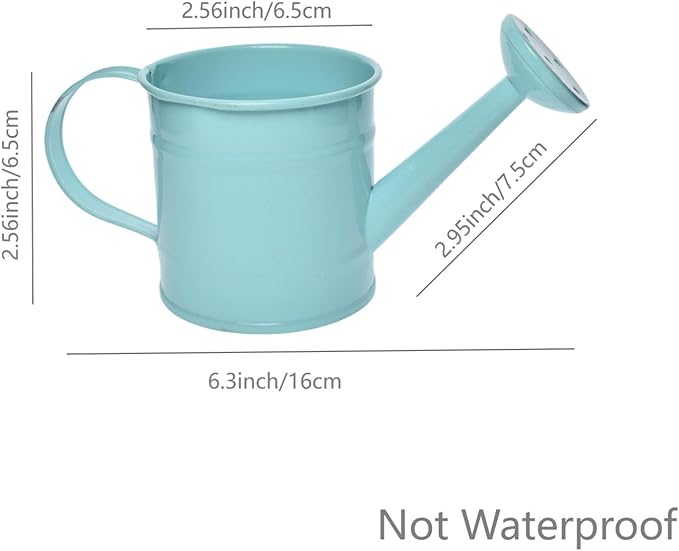 Decorative Mini Tin Watering Can - 0.05Gal Cute Metal Jug for Hand Crafts,Garden-Theme Parties,Plant Pots, Home Decor,Housewarmings, Fun Birthday Gift for Girls and Boys (B/G, S)