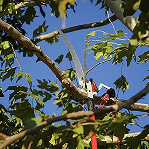 Corona TP 4214 DualLink Tree Saw 14 Ft, Red, Silver