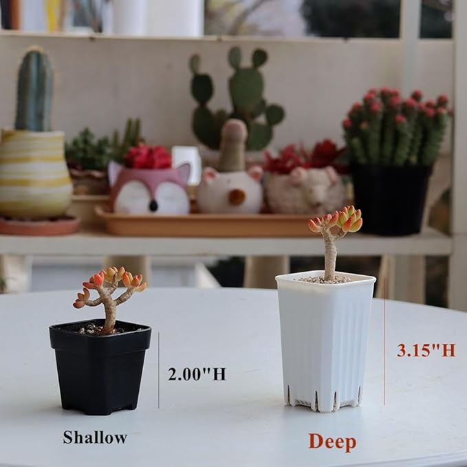 BangQiao 180 Pack 1.95 Inch Tiny White Plastic Square Nursery and Seedling Pot, Mini Deep Transplant Seed Starter Planter with Drain Hole for Germination, Herb, Succulent