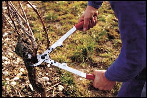 FELCO F20 Swiss Made Loppers for Gardening – 16.9" Heavy Duty Loppers Tree Trimming | Tree Branch Cutters | Tree Trimmer Tool with Replaceable Carbon Steel Blade, Forged Handles Made for Life