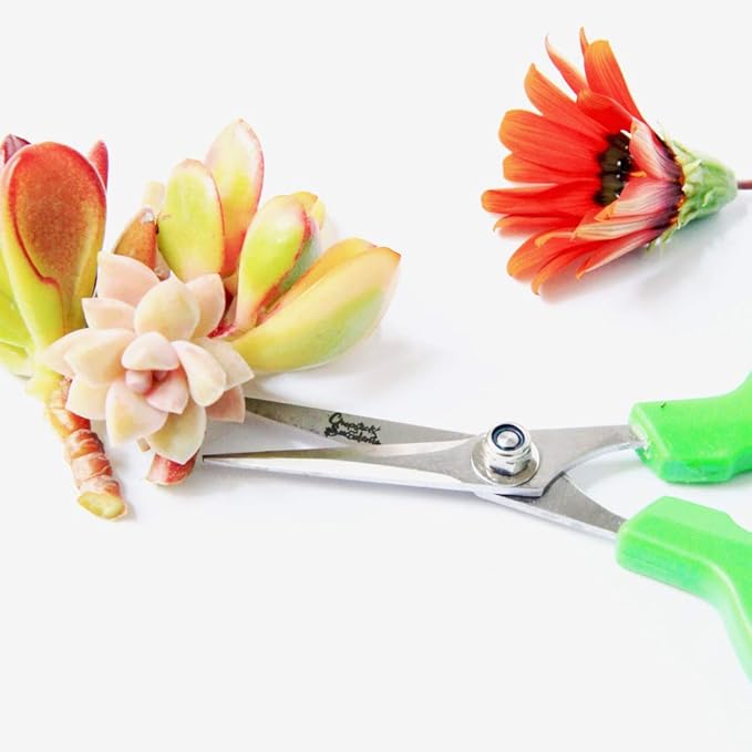 Gardening Scissors For Succulents