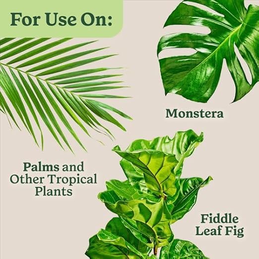 Miracles-Grows Indoor Plant Food for Tropicals, Liquid, Lush Green Foliage, 8 fl oz, 1 Pack