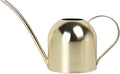 Stainless Steel Water Can for Indoor Plants and Garden (Gold 30 oz)