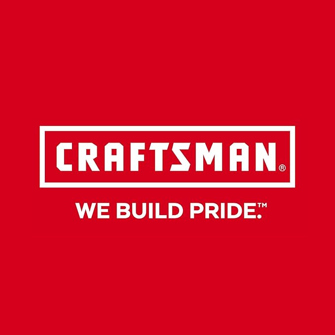 CRAFTSMAN V20 MAX Cordless Drill Driver and Impact Driver Set, Power Tool Set with 2 Batteries and Charger, LED Work Light, 2 Bits, Bag (CMCK200C2)