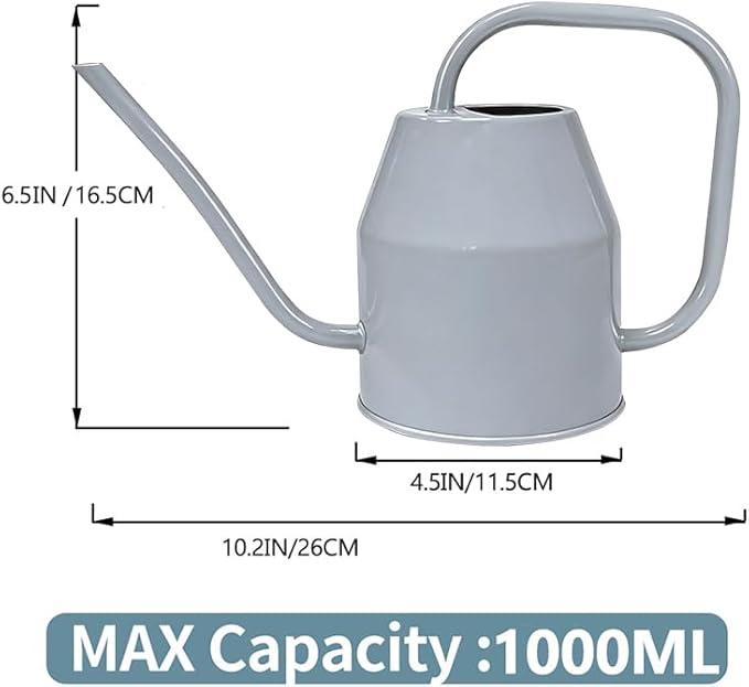 35 oz/1000 ml Metal Indoor Small Watering Can with Long Spout for House Plants Decorative, 12 oz/360 ml Glass Plant Mister Spray Bottle for Bonsai Garden Flowers (Grey)