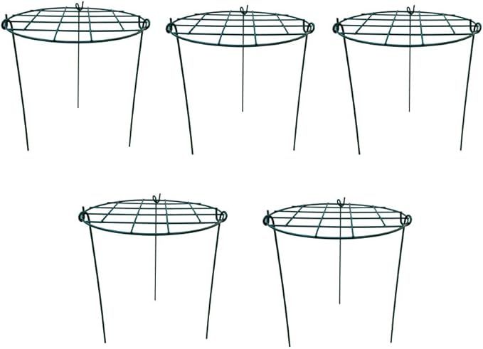 5 Pack 12 x 16 inch Poeny Cage Grow Through Grid Plant Brace Flower Support Rings,Round Metal Plant Stakes Rings, Strong Large Garden Supports for Flowers, Peonies, Rose, Lily