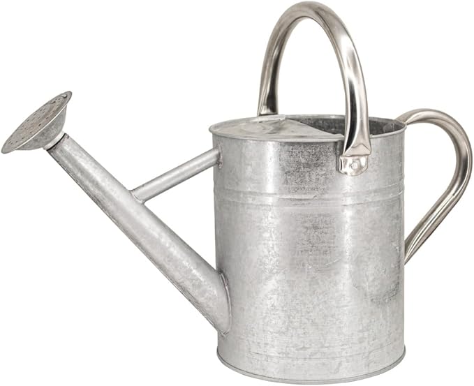 Metal Watering Can 1 Gallon with Removable Spout, Ideal Plant Watering Can for Indoor and Outdoor Plants (One Gallon BXG Silve)