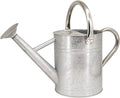 Metal Watering Can 1 Gallon with Removable Spout, Ideal Plant Watering Can for Indoor and Outdoor Plants (One Gallon BXG Silve)