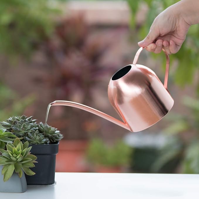 Small Watering Can Indoor Plants Metal Watering Cans 15oz Capacity Cute Design for House Plants & Gardens (Rose Gold 15 oz)