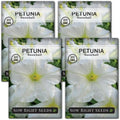 Sow Right Seeds - Snowball Petunia Seeds for Planting Outdoors - Non-GMO Heirloom Variety - Dwarf Flower - Easy to Grow White Petunias - Ideal for Flower Beds, Garden Borders, Containers (4)