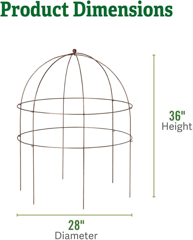 Gardener’s Supply Company Jardin Bird Cage Plant Support | Large Sturdy Grow-Through Steel Flower Trellis Garden Decor | Best for Peonies, Baptisia, Sedum & Other Perennials - 36 Inch
