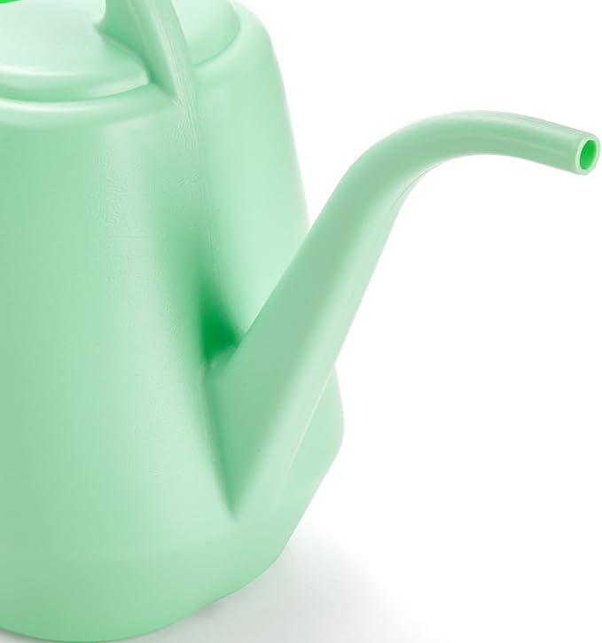 Fasmov Plastic Watering Can, 1-Gallon, Pine Green