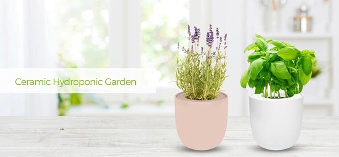 Hydroponic Growing Kit, Self-Watering Garden Starter Kit with White Ceramic Pot and Seeds (Calendula)