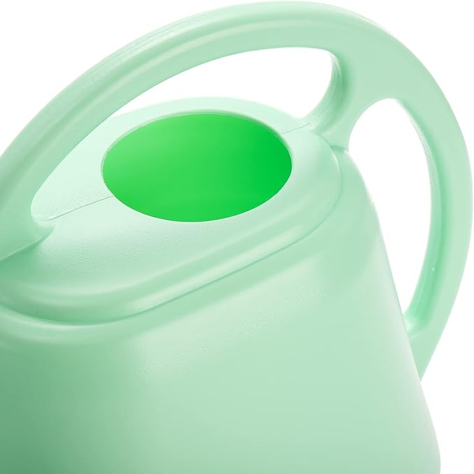 Fasmov Plastic Watering Can, 1-Gallon, Pine Green