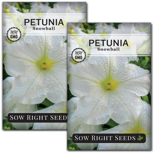 Sow Right Seeds - Snowball Petunia Seeds for Planting Outdoors - Non-GMO Heirloom Variety - Dwarf Flower - Easy to Grow White Petunias - Ideal for Flower Beds, Garden Borders, Containers (2)