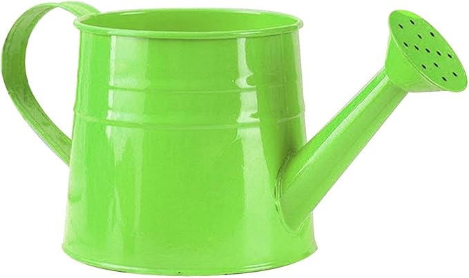 Tinplate Watering Kettle, 1L Metal Garden Watering Can, Vintage Sprinkling Can for Flowers, Indoor & Outdoor Plants, Lawn & Garden Irrigation Tool (Green)