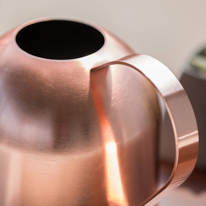 Small Watering Can Indoor Plants Metal Watering Cans 15oz Capacity Cute Design for House Plants & Gardens (Rose Gold 15 oz)