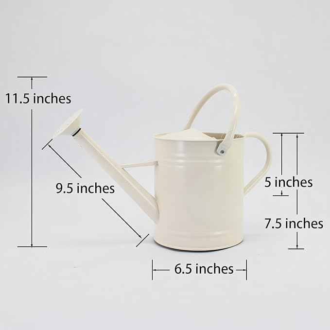 1 Gallon Watering Can, Matte Cream, Metal Watering Can with Removable Spout, Galvanized Water can, Perfect Plant Water Can for Outddor and Indoor Use