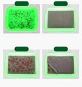 Hemoton Plant Tray 2 Tier Tray 2 Tier Sprouting Kit Soil-Free Wheatgrass Grower Nursery s Germination Bean Sprout Grower Sprouter Veggie Veggie