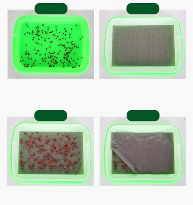 Hemoton Plant Tray 2 Tier Tray 2 Tier Sprouting Kit Soil-Free Wheatgrass Grower Nursery s Germination Bean Sprout Grower Sprouter Veggie Veggie