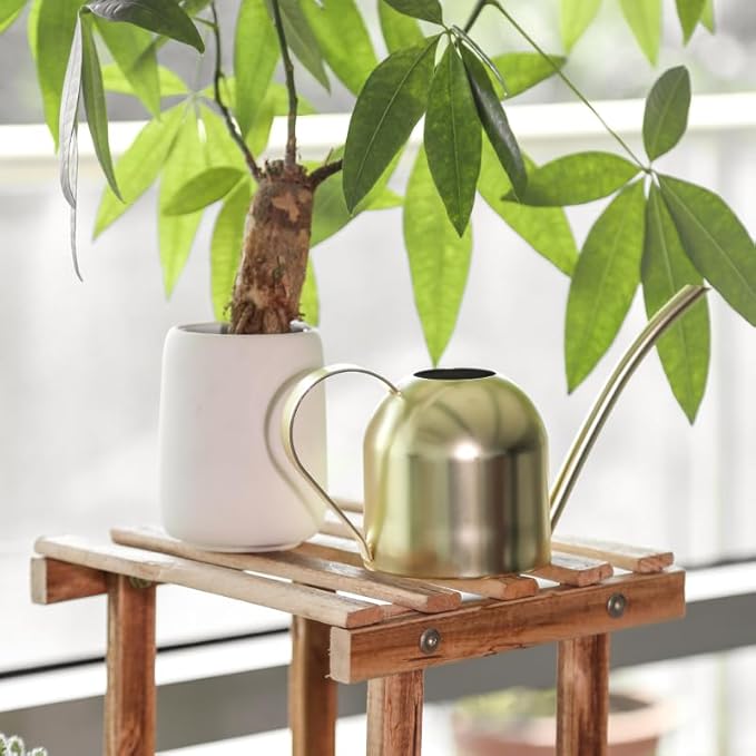 Stainless Steel Water Can for Indoor Plants and Garden (Gold 30 oz)