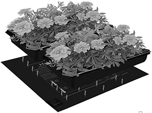 Dirt Genius 19012 Seed Starting Propagation Heat Mat, 45Watt, 20" x 20.7", Black