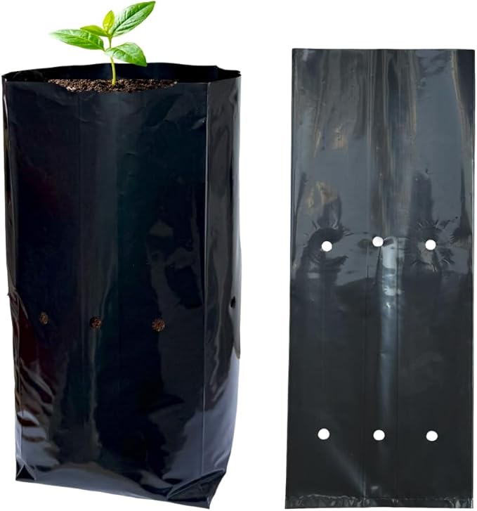 gardtree 50 Pcs Thicken Plastic Plant Nursery Bags 5.5" x 11.4", Grow Bags for Fruit Trees, PE Seedling Pots, Nursing Growing Pouch, Ideal for Flowers, Vegetables, Fruit, Starting Saplings