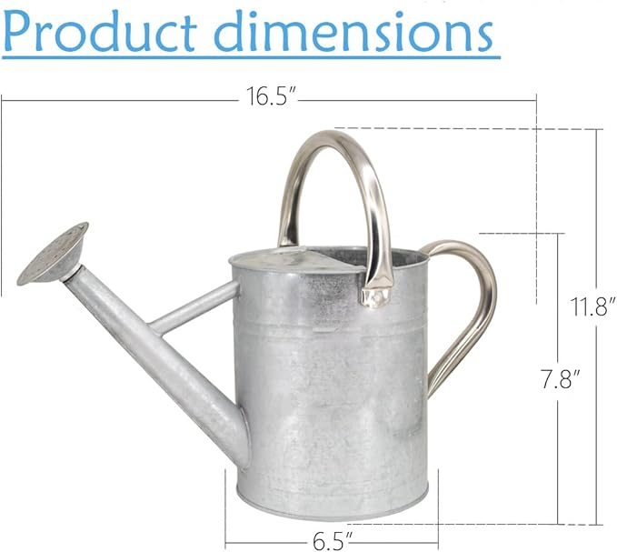 Metal Watering Can 1 Gallon with Removable Spout, Ideal Plant Watering Can for Indoor and Outdoor Plants (One Gallon BXG Silve)