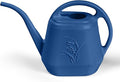 Plastic Watering Can - for Indoor and Outdoor Plant - 1/2 Gallon - Blue