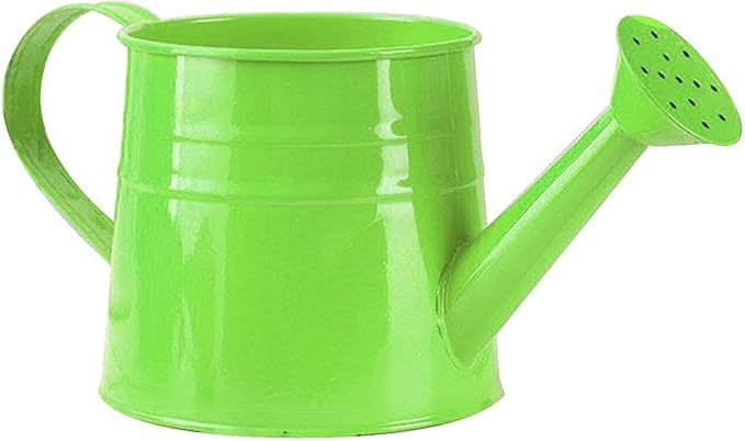 Watering Can, 1L Metal Flower Garden Watering Can, Lightweight Durable Decorative Gardening Tool for Outdoor Indoor Plants Lawn Garden (Green)