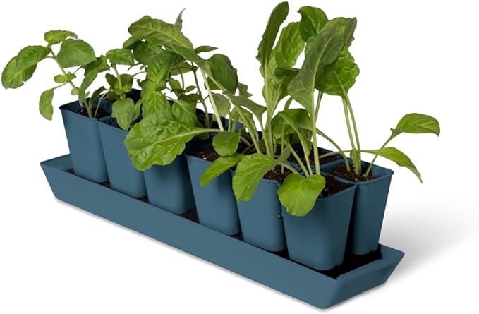 Gardener's Supply Company Gardener's Best® XL Seed Starting Kit | Durable and Reusable Self-Watering Deep Root Seed Starting Tray for Quick Germination - Blue