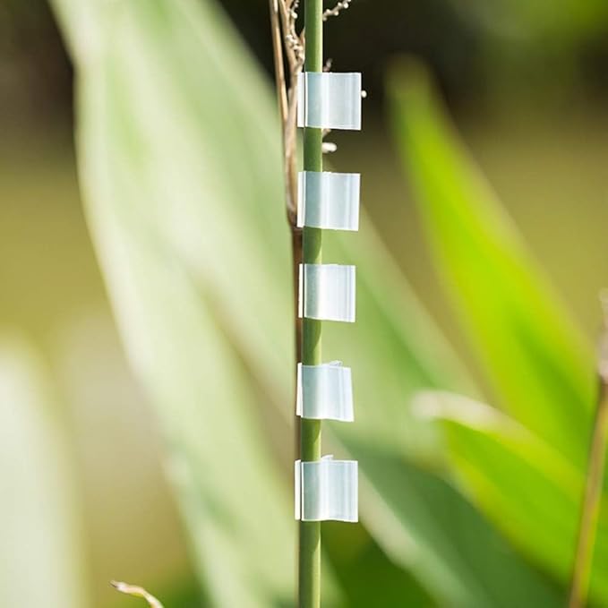 100 Pcs Transparent Plant Grafting Clips Plastic Grafting Clips Tomato Plant Cages Supports Clamp Connects Vines Seeding Grafting Clips Orchid Clips Vegetables Vine Support Fixing Clips(3mm)