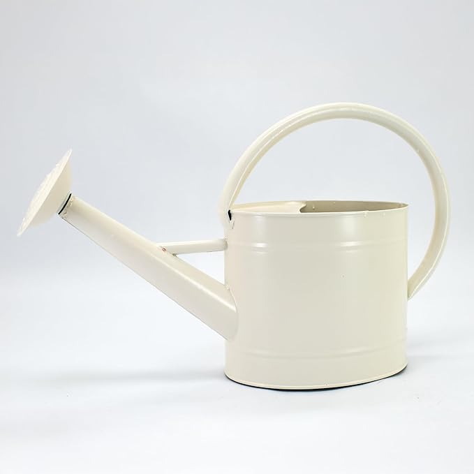 1.3 Gal Watering Can, Matte Cream White Finish, Galvanized, Metal Watering Can, Perfect Plant Water Can for Plants Indoor & Outdoor