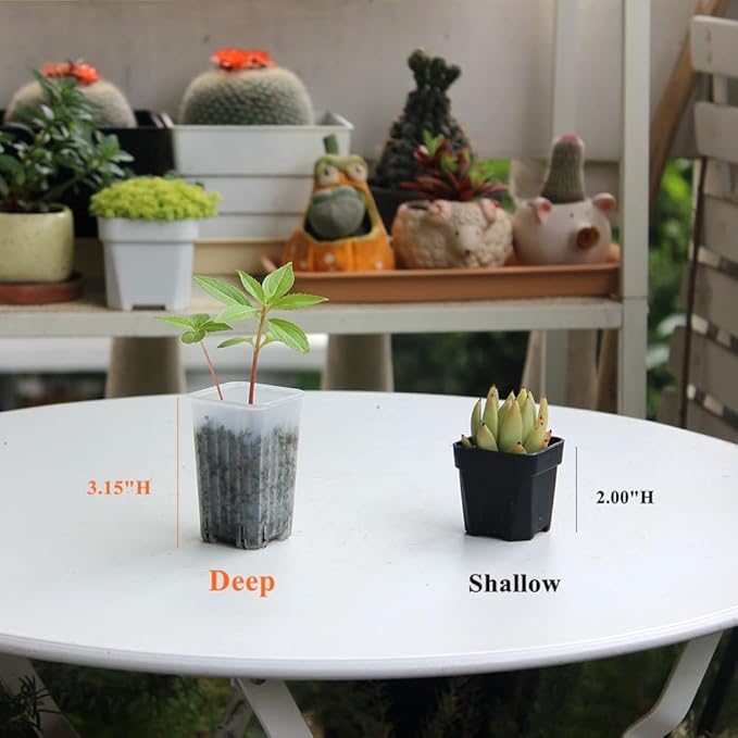 BangQiao 180 Pack 1.95 Inch Tiny Clear Plastic Square Nursery and Seedling Pot, Mini Deep Transplant Seed Starter Planter with Drain Hole for Germination, Herb, Succulent