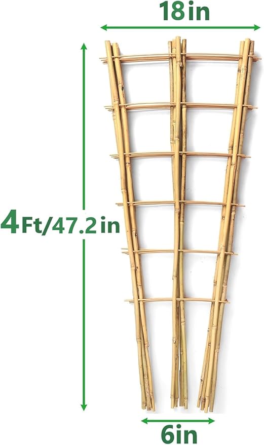 4 Pack 4 Feet Bamboo Trellis for Climbing Plants Outdoor, Taoskai Fan-Shape Garden Trellis for Tomatoes, Cucumbers, Peas, Flowers, Potted Plants, Plant Support
