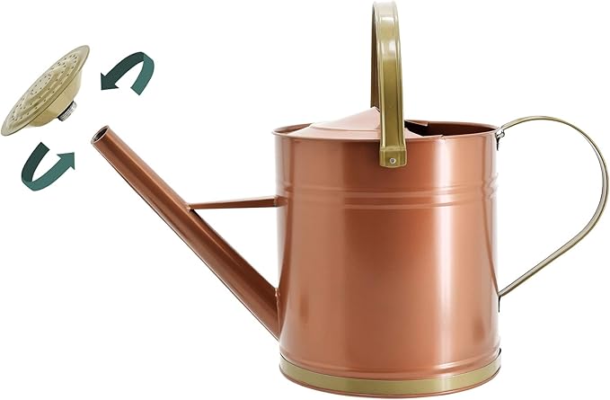 Classic Shiny Galvanized Metal Watering Can, Easy-Pour, Indoor and Outdoor, 2.6 gal, Shiny Galvanized Metal