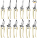 Therwen 12 Pcs Garden Shears Flower Scissors Pruning Shears Floral Garden Clippers Hand Pruners Branch Cutter Gardening Tools for Plants Cutting, Trimming, Fruits Picking (Beige,Bypass, Straight)