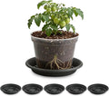BTPLASTIK Plant Saucer 10 inch 5 Pack, Pot Elevators for Inside Plants, Heavy Duty Flower Planter Drip Trays for Pots, Pot Saucers for Plants, Grow Bags Saucers Gray