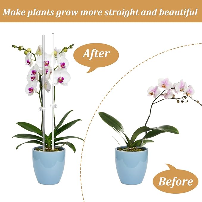 60 Pcs Clear Acrylic Plant Support Stakes with 60 Clips 15.8 & 11 Inch Reusable Plant Holder Stick Garden Stakes for Indoor Outdoor Potted Plants, Orchids, Tomatoes, Flowers