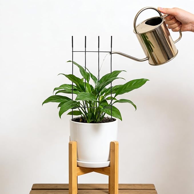 32.6inch Plant Trellis for Climbing Plants Indoors & Outdoor, Garden Trellis for Potted Plants, Rust-Proof Metal Sturdy Yet Gentle Climbing Stakes Support for Ivy Pothos Hoya Monstera (2pcs)