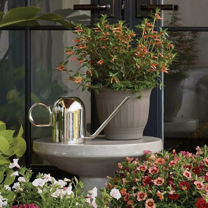 Bloem Crane 1.5L Watering Can, Silver Powder Coated with Novelty Handle and Long Sleek Spout