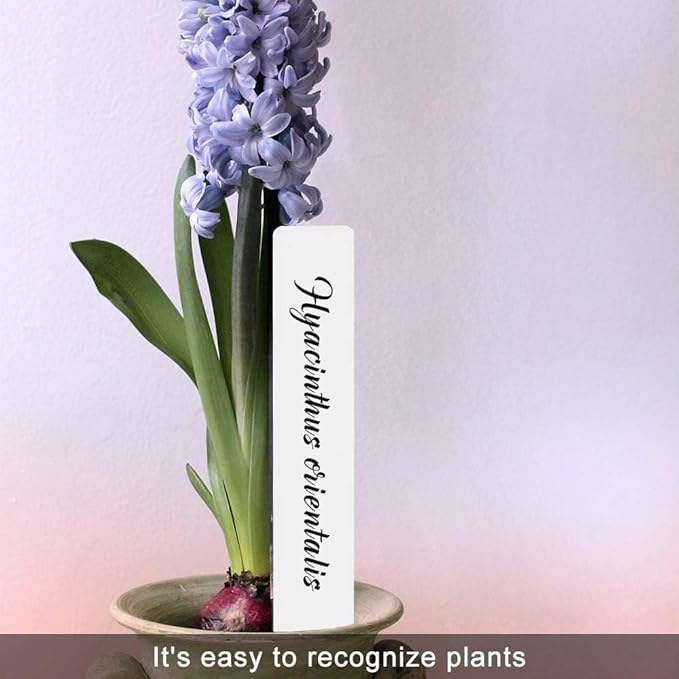 SumDirect Plastic Plant Labels, 300pcs 6 Inch White Waterproof Plant Name Tags for Nursery Garden Labels Markers Seedlings Plant Tags Tree Stake Tags