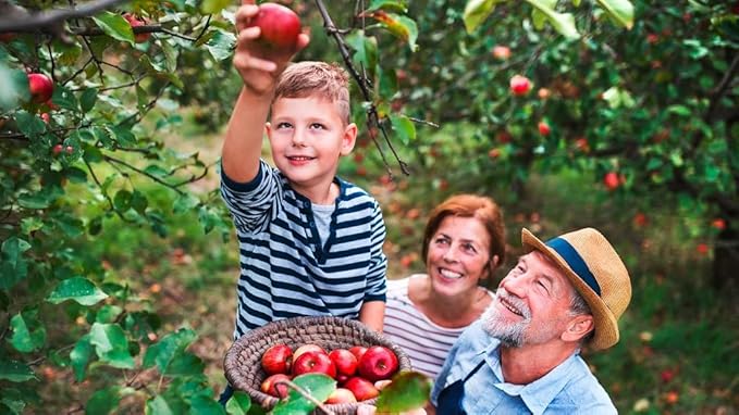 GARDENERA Premium Apple Potting Soil Mix - Perfect Balance of Nutrients, Drainage, and Aeration for Thriving Apple Trees - 5 QUARTS