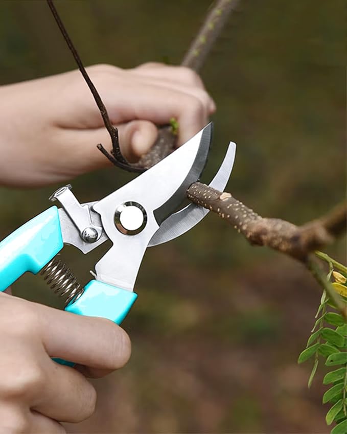 Garden Scissor for Plant, 12 Pcs Floral Scissors, Tip Pruning Shears Bulk for Cutting Flowers, Bonsai, Fruits and Trimming Plants(Blue)
