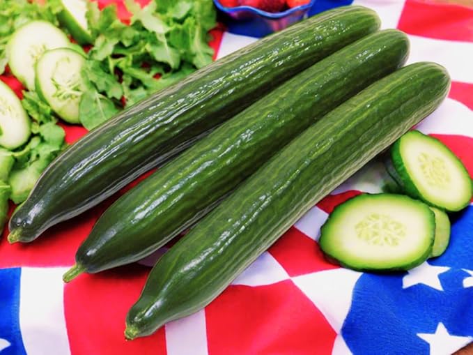 TomorrowSeeds - English Telegraph Improved Burpless Cucumber (English Cucumber) Seeds - 30+ Count - for 2026 Planting Hothouse Cucumbers Crisp European Near-Seedless Long Heirloom Vegetable