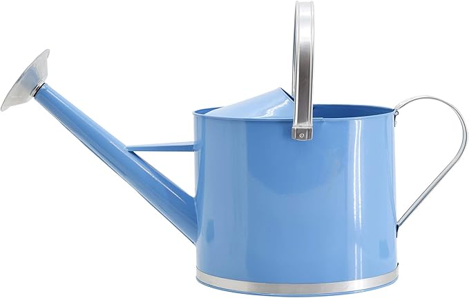 Arcadia Garden Products WC17 Chic Watering Can, Indoor and Outdoor, Easy Pour, Gift, 1.8 gal, Sky Blue