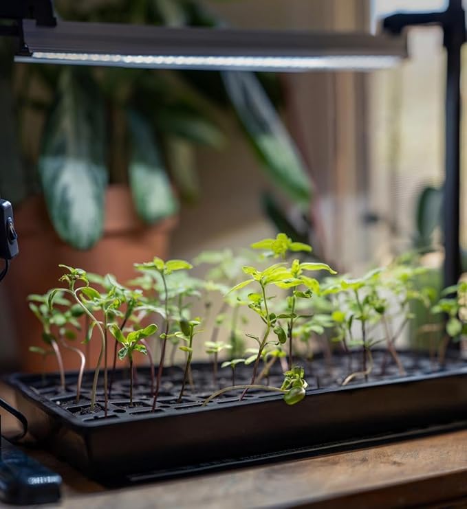SunBlaster Seed Starting Growing Herbs Kit SL1611208 Grow Light, Stand, Tray, Dome, Heat Mat Timer & Plugs