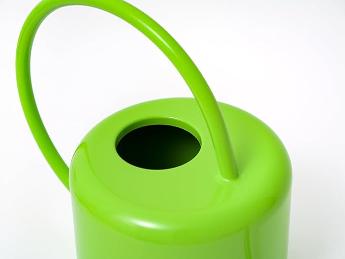 Plexon Long Spout Watering Can Indoor Plants, 40 oz Small Watering Can Pot Metal for Garden Flowers House Plants Mini, Powder Coated, for Mom Girlfriend Daughter, Green