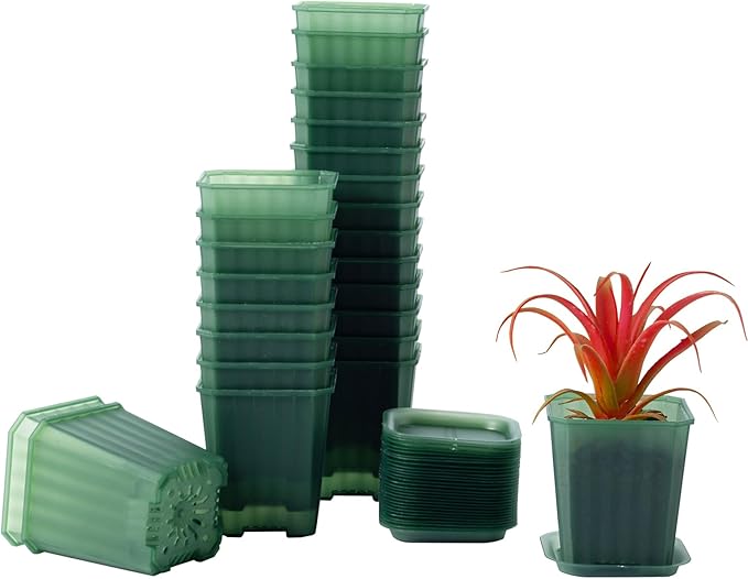 foxany 3 Inch Transparent Green Nursery Pots, 30 Pcs Thick Plastic Plant Pot, Square Flower Planting Pots Variety Pack, Seedling Planter Starter Pots with Saucers for Garden