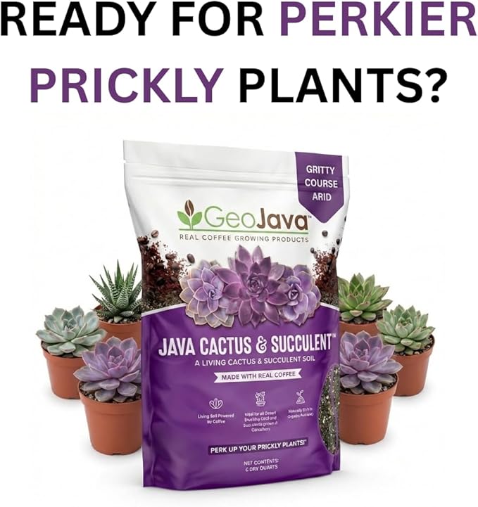 Java Cactus & Succulent Soil: A Gritty, Fast‑Draining, Peat-Free, Ready‑to‑Use Potting Mix for Cacti & Succulents -Keeps Roots Well Aerated for Indoor Pots & Plants. USA Made (6QT)